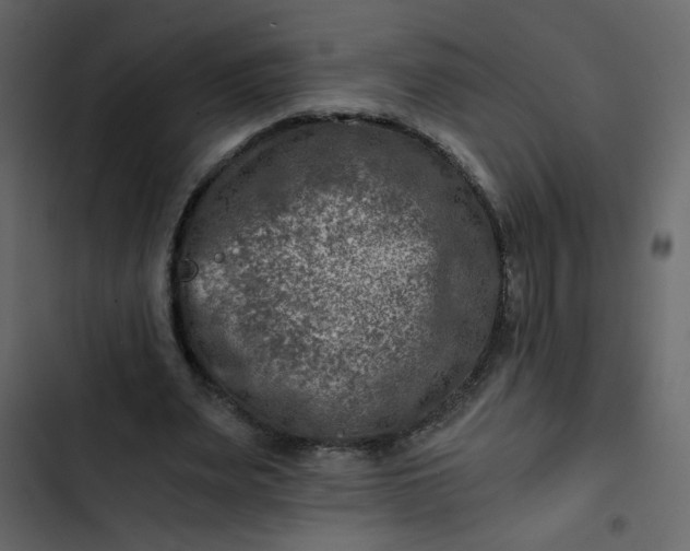 X0000102820487200809021254