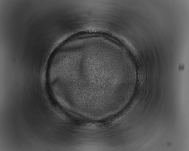 X0000102820488200809021254