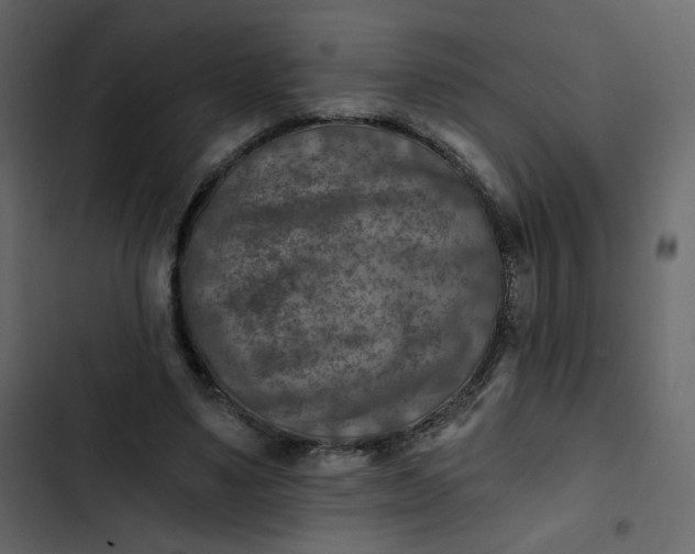 X0000102820491200809021254