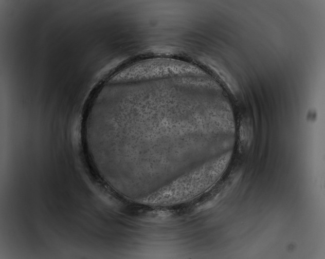 X0000102820492200809021254