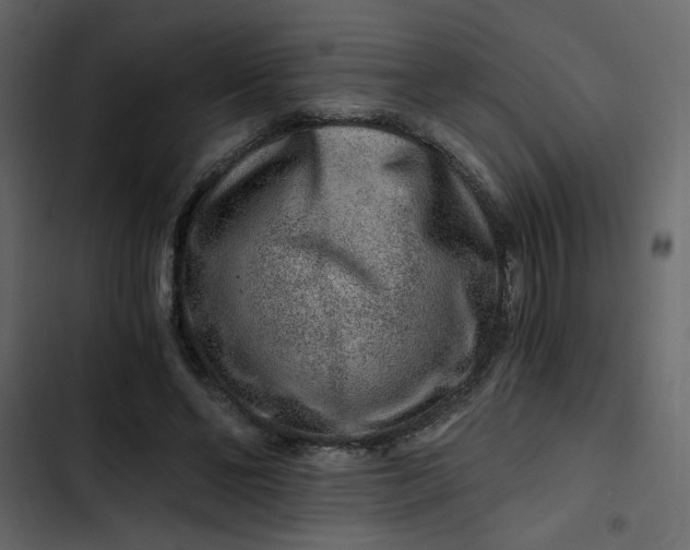 X0000102820494200809021254
