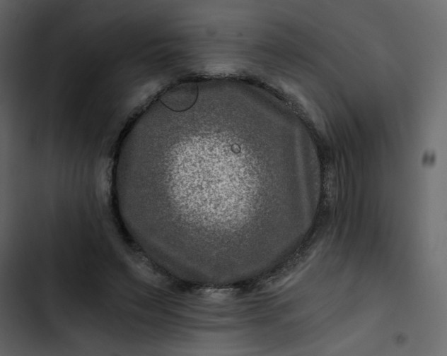 X0000102820495200809021254