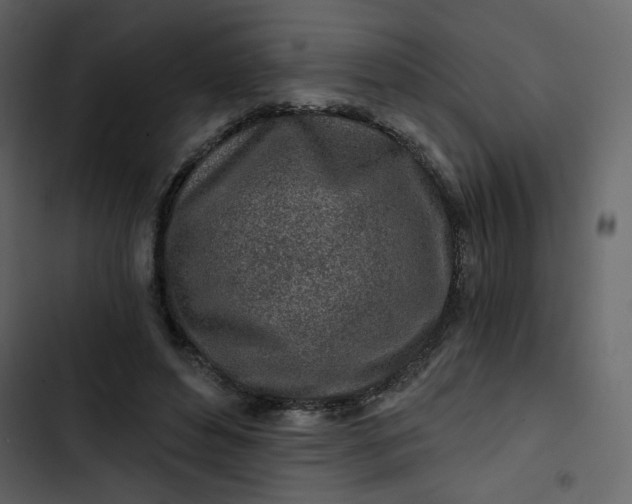 X0000102820496200809021254