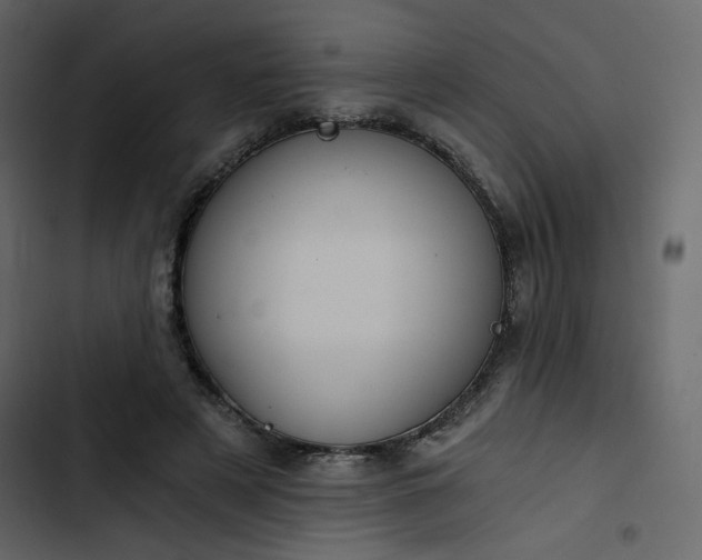 X0000102820497200809021254