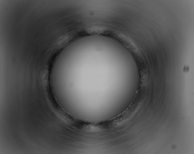 X0000102820498200809021254