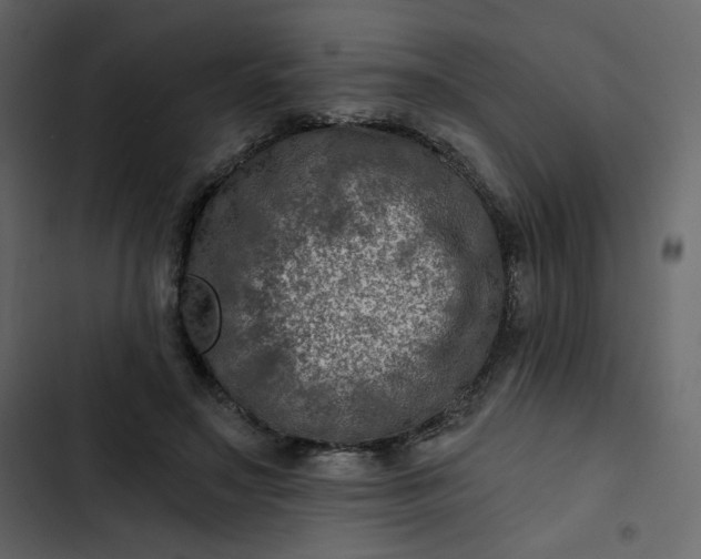 X0000102820499200809021254