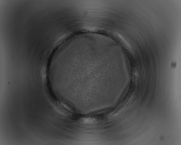 X0000102820500200809021254
