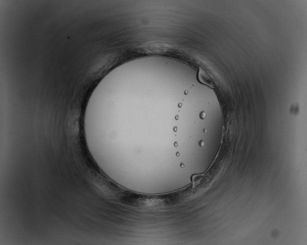 X0000102820501200809021254