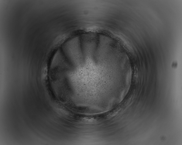 X0000102820502200809021254