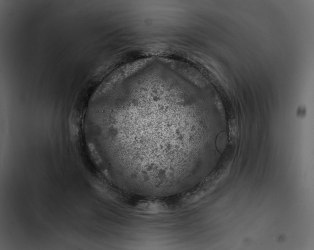 X0000102820503200809021254