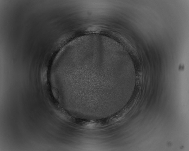 X0000102820504200809021254