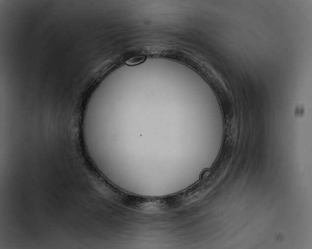 X0000102820505200809021254