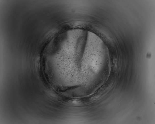 X0000102820506200809021254