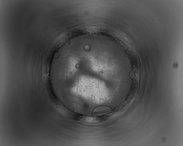 X0000102820507200809021254
