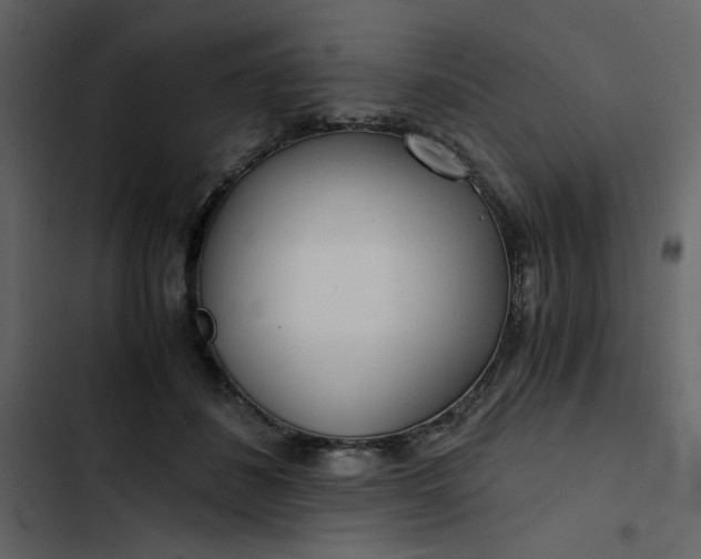 X0000102820508200809021254