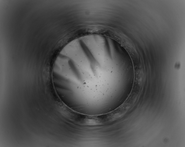 X0000102820510200809021254