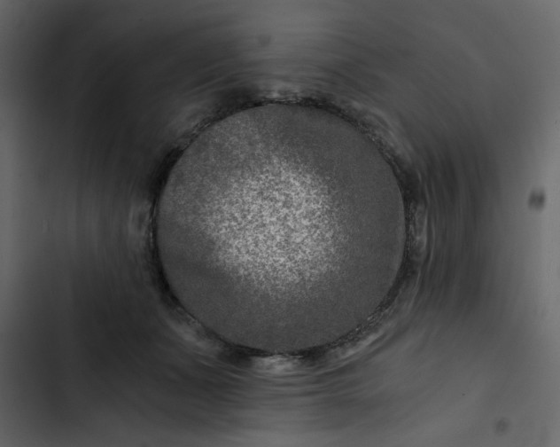 X0000102820511200809021254