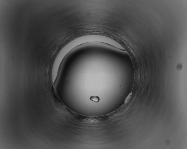 X0000102820512200809021254