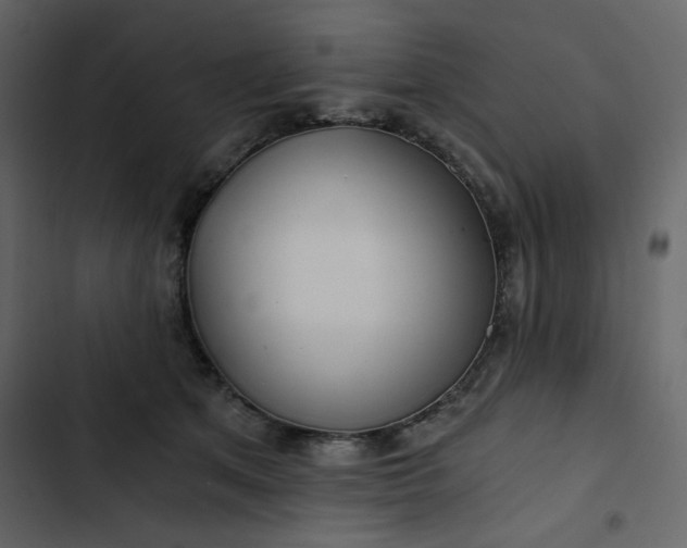 X0000102820513200809021254