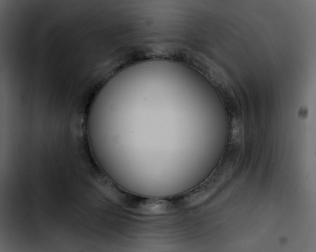 X0000102820514200809021254