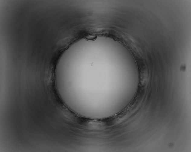 X0000102820515200809021254