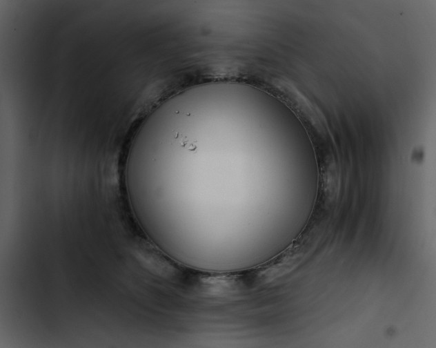 X0000102820516200809021253