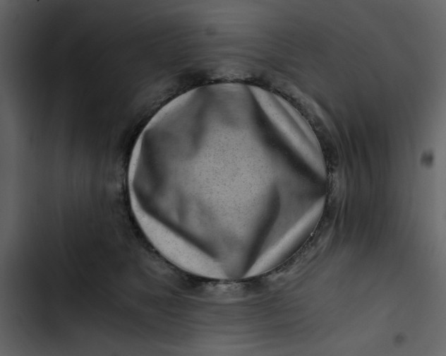 X0000102820517200809021253