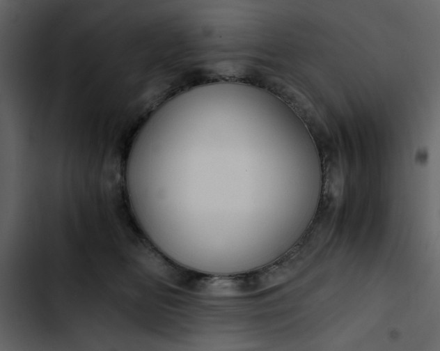 X0000102820518200809021253