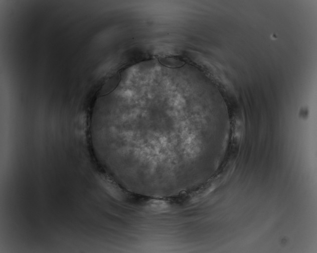 X0000102820519200809021253