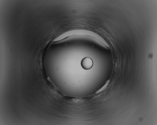 X0000102820520200809021253