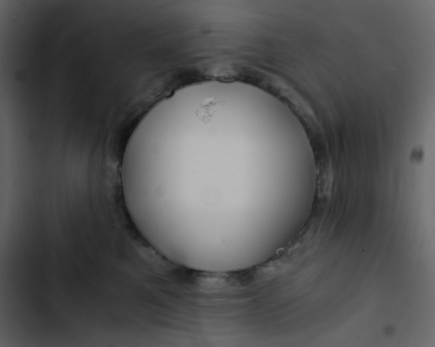 X0000102820521200809021253