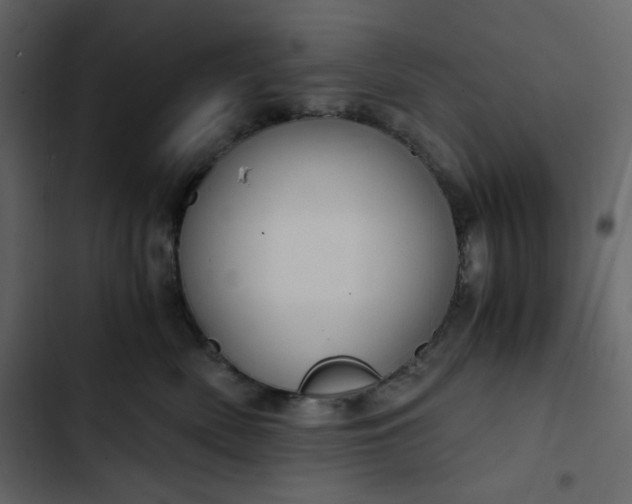 X0000102820522200809021253