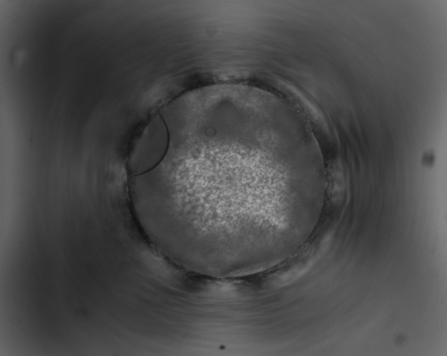 X0000102820523200809021253