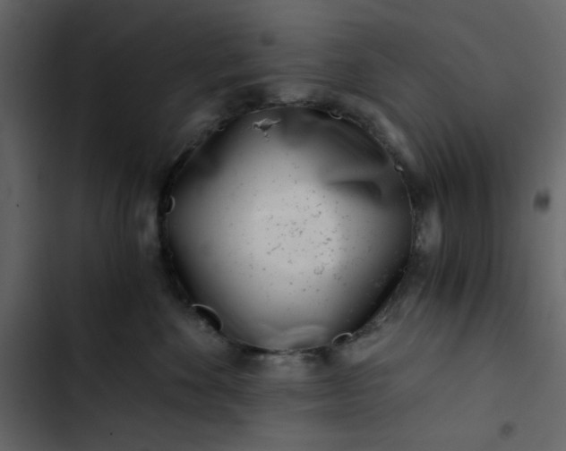 X0000102820524200809021253