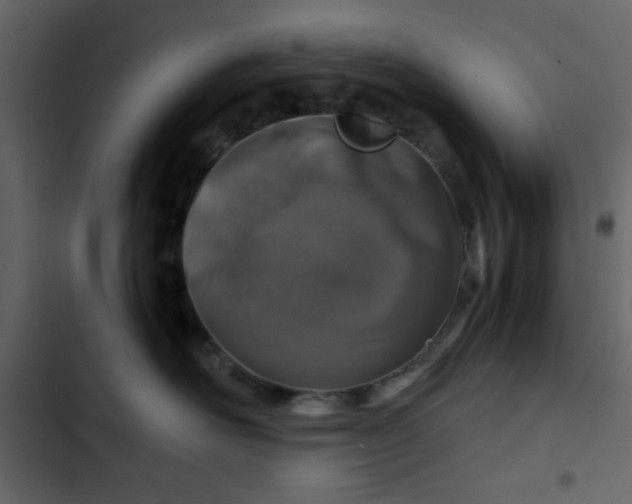 X0000102820526200809021253