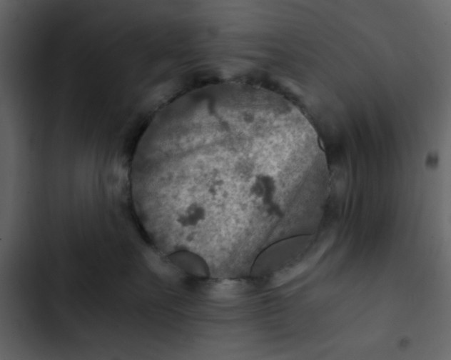 X0000102820527200809021253
