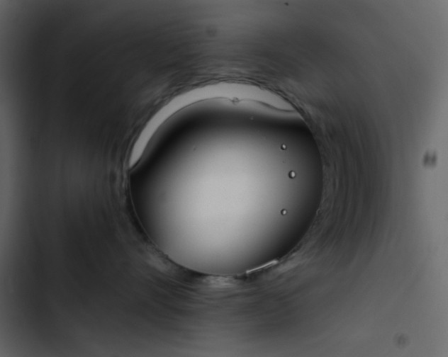 X0000102820528200809021253