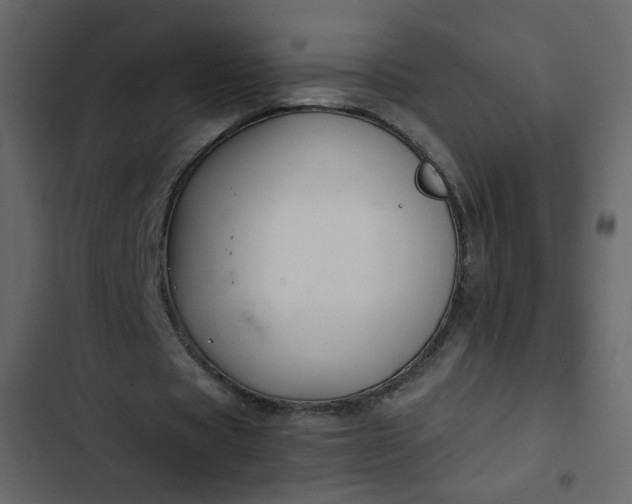 X0000102820529200809021253