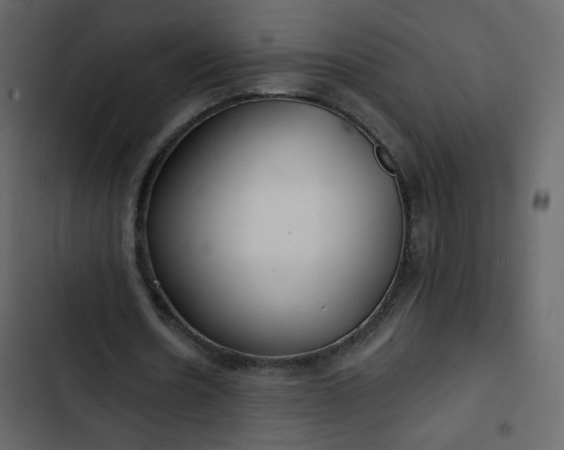 X0000102820530200809021253