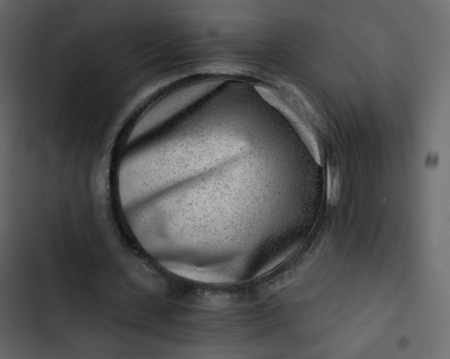 X0000102820531200809021253