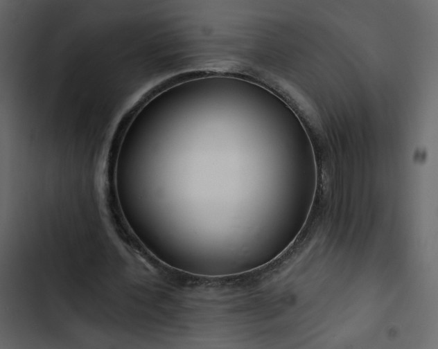 X0000102820532200809021253