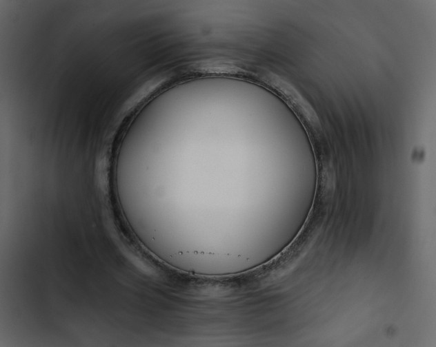 X0000102820533200809021253