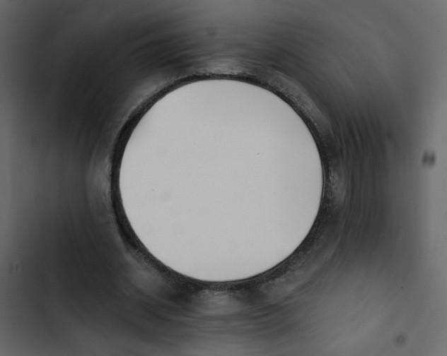 X0000102820534200809021253