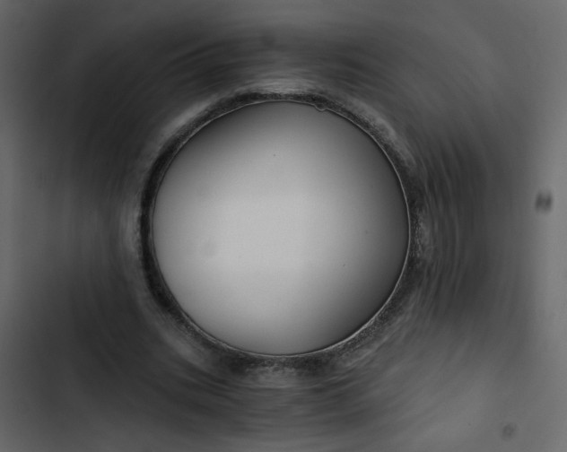 X0000102820535200809021253