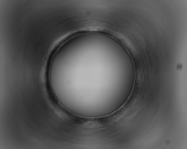X0000102820536200809021253