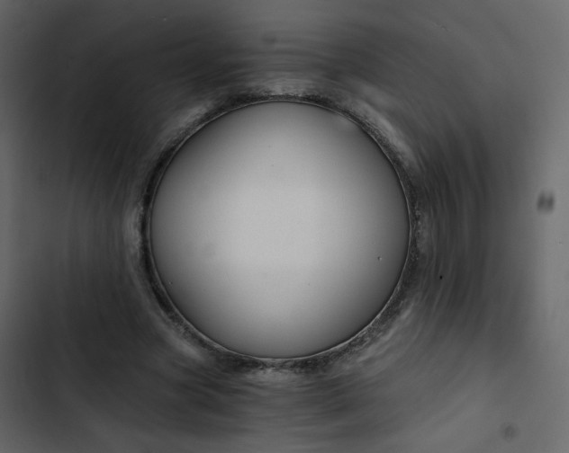X0000102820537200809021253