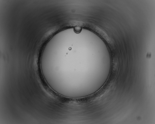 X0000102820538200809021253