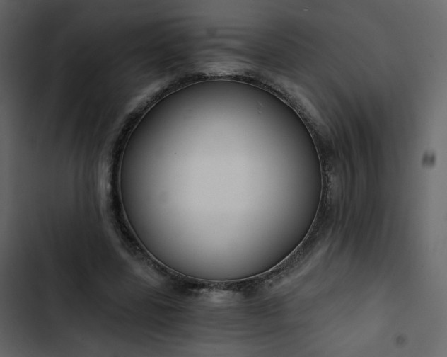 X0000102820539200809021253