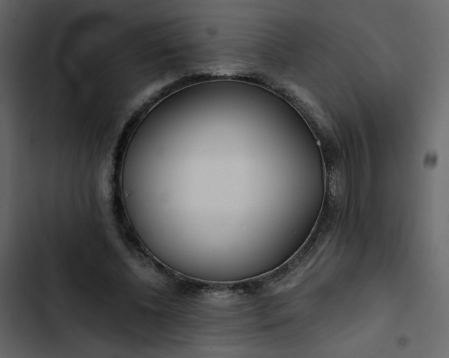 X0000102820540200809021253