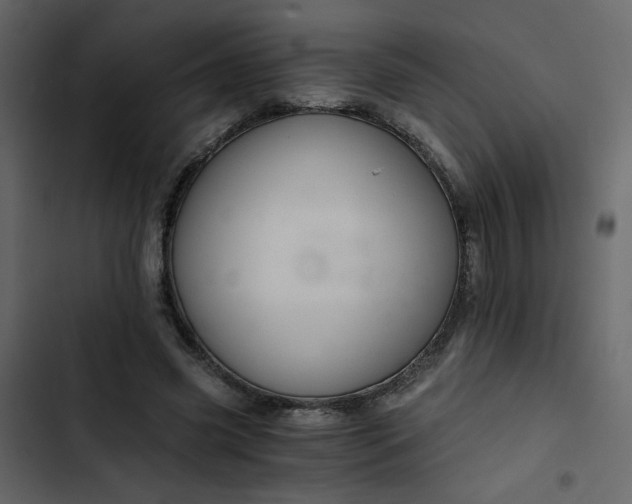 X0000102820541200809021253